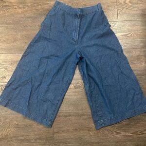 Zara Blue Wide-Leg Denim Pants